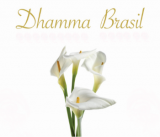 Dhamma Brasil