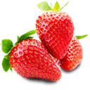 plants-de-fraises.be